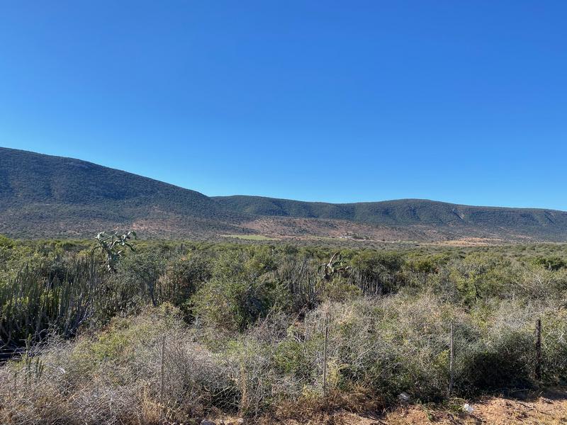 0 Bedroom Property for Sale in Kirkwood Eastern Cape